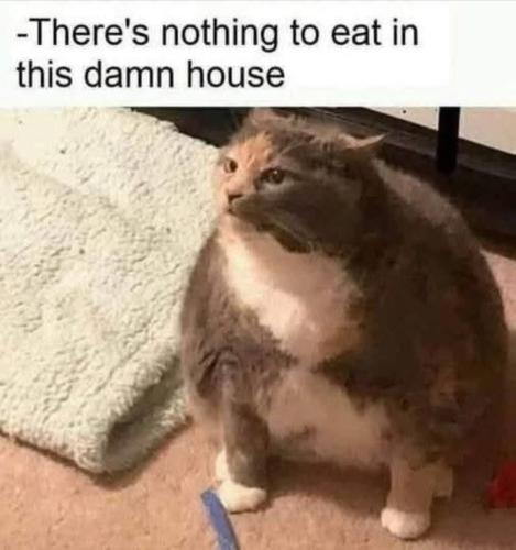 IMG_20250706_150408_495