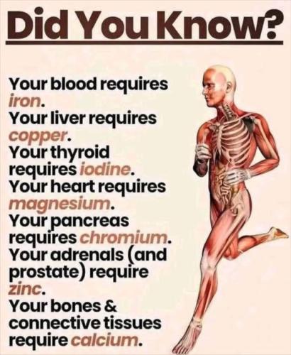 ,     ,    324779683_12676030304