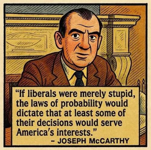 if-liberals-were-merely-stupid