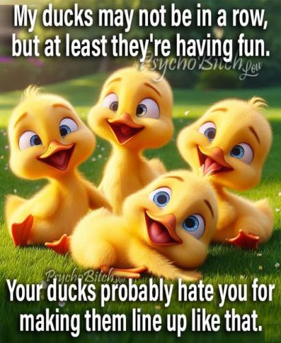 519078133_768598558926090_8504254907890573494_n