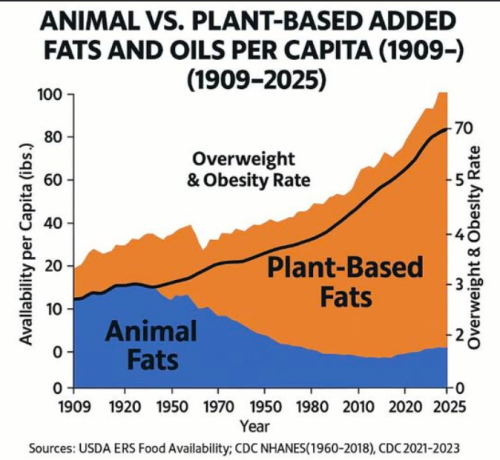 Screenshot 2025-07-04 165351