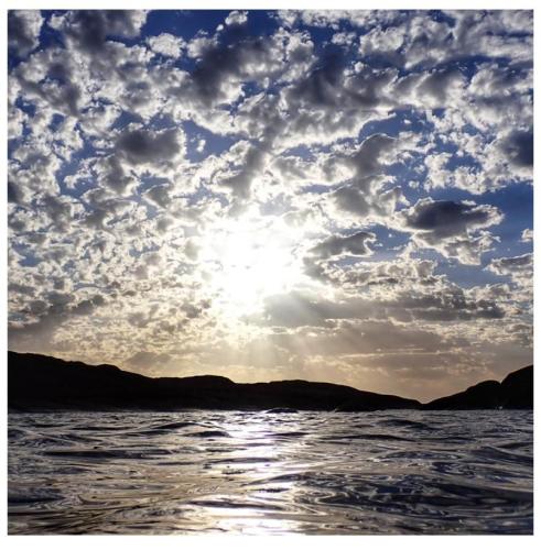 2e5b51d6-8f19-46e3-bf3a-06f89bf51962