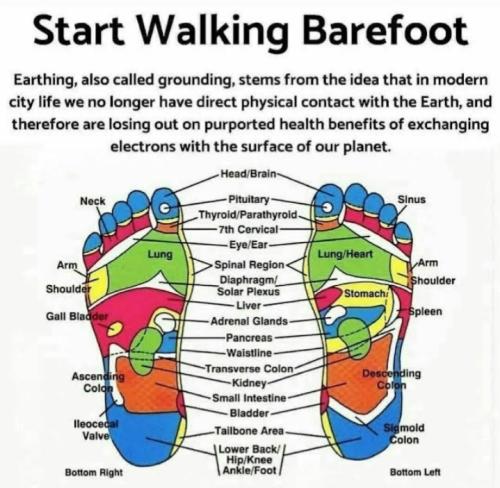 Screenshot_20250711_140922_Gallery