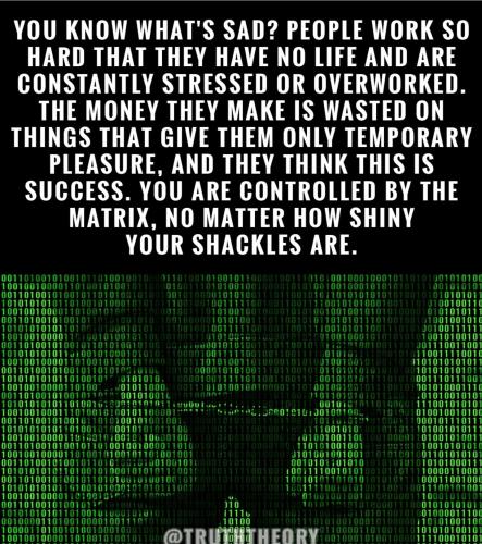 515029065_1254842612979659_1245635677037271860_n