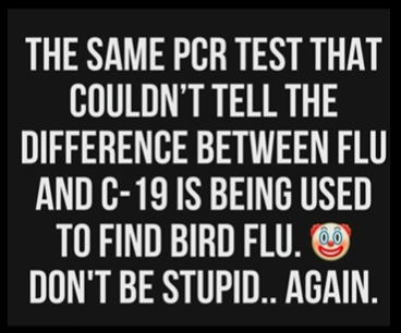 PCR Test And Bird Flu
