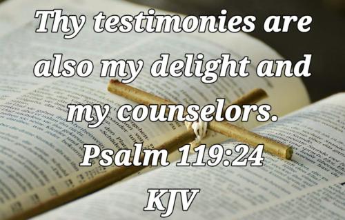 bc7dd38c-e045-47a8-a462-13167d98bc3f