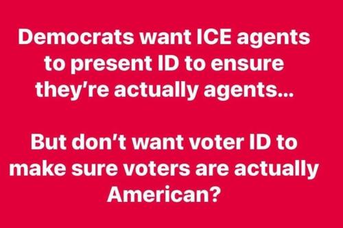 ice voter id