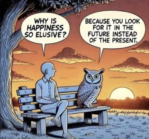 518306967_764039006149027_7368046511235436385_n