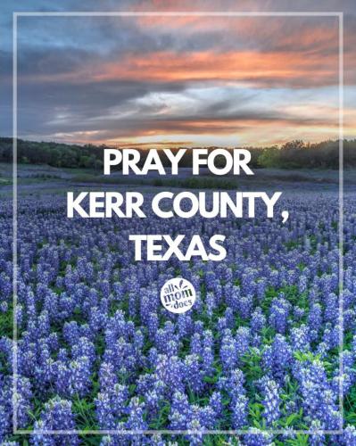 629edde6-04d8-45ed-b4de-ceef3865036e