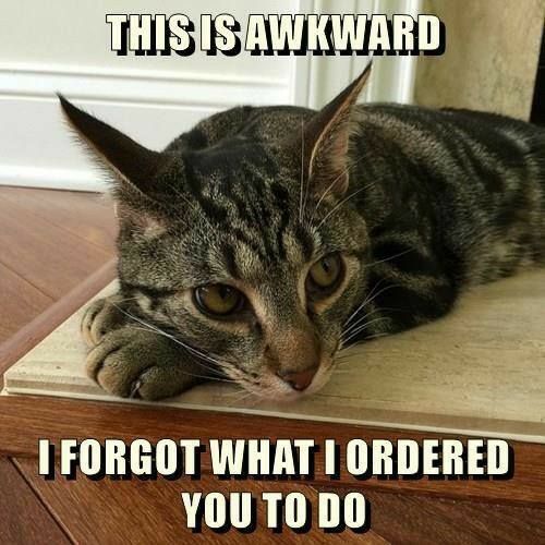 99e20de730a70b5d114d5cb19033d33e