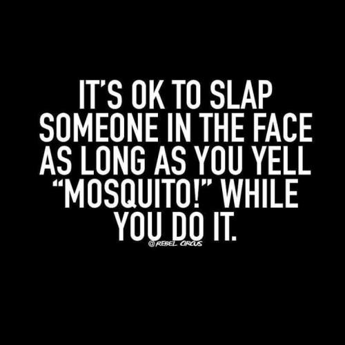 cda05565faa5c51f32fd273b67b64c6e