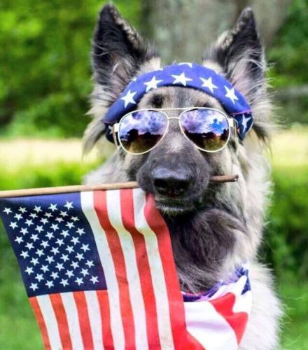 photo_2025-07-04_19-44-19