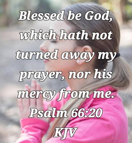 8a6080f3-f1b0-4ade-bdcb-b92764a9556f