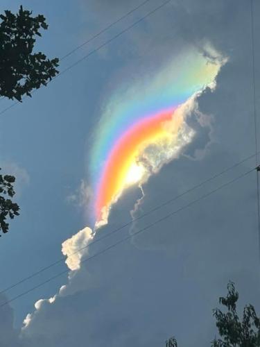 e5f763bd-27ea-43a9-95df-abfb65336b64