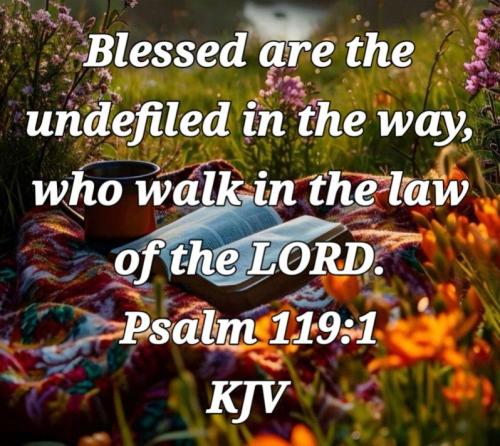 89fdeb24-012a-4a34-9c2d-5a7a8e68e53e