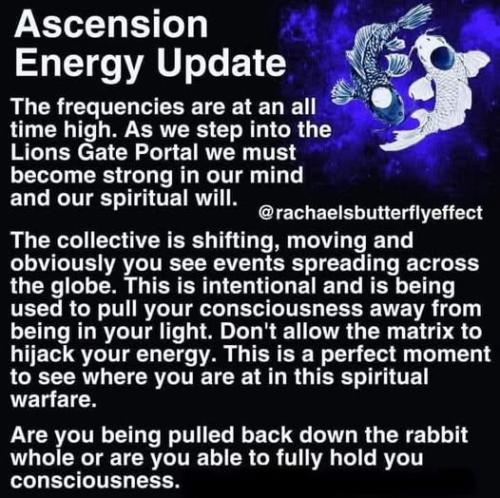 519668649_752668570982671_2677846931030346890_n