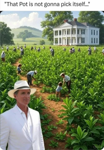 image_2025-07-15_065348250