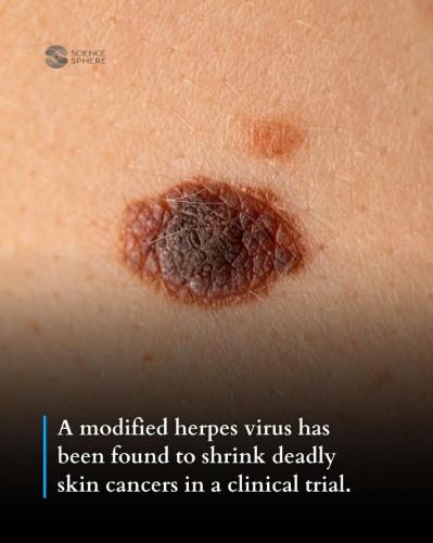 c141d905-c217-466d-8b4e-cfabfe980549