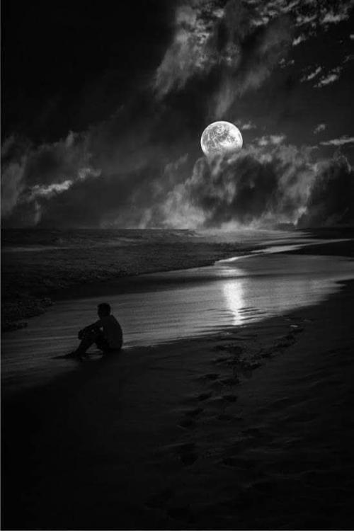 eab98d764d52d4a79b4ee1208bbd35c9