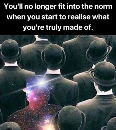 3f080114d3df7bff2dc57dd8effbb817