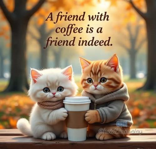 516730309_10234796913931128_1957576015625470295_n