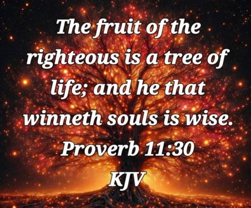 9d0868f8-2af3-4327-adee-2d43f410498a