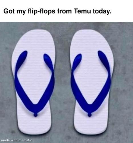 flip flops