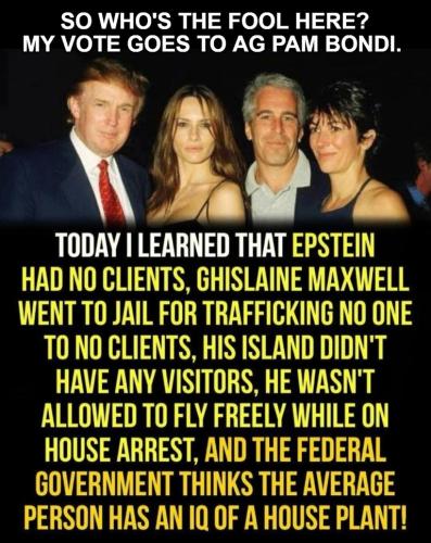 So who's the fool here My vote goes to AG Pam Bondi.768px