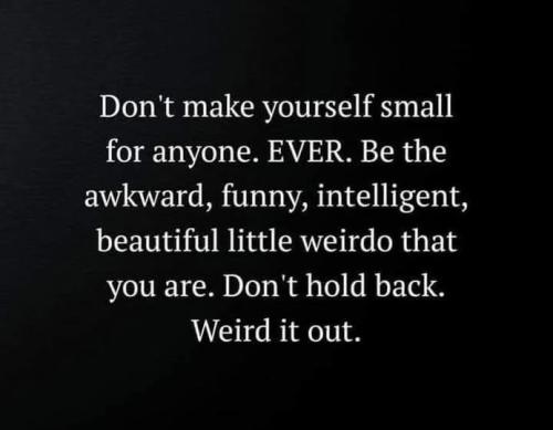 518297721_743516445231217_2835954218853280816_n