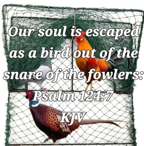 a2f1f770-0f52-4c40-8c13-6ee5b45ddc5d