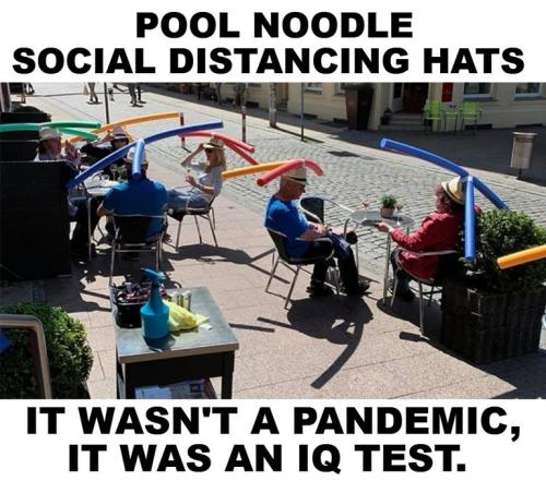It wasn't a pandemic it was an IQ test.768px