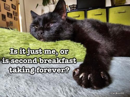 5d95ecef1ffdd7b0713d5f7c5e8dcd06