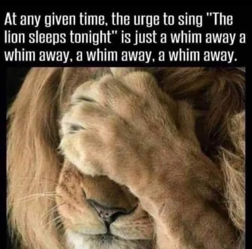 Screenshot_20250715_073722_Gallery