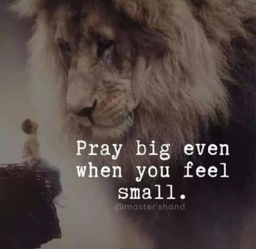 518355587_10172125964695344_2562056469559936294_n