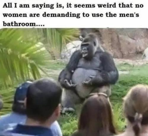 518724483_698151029893969_8996719914419597547_n