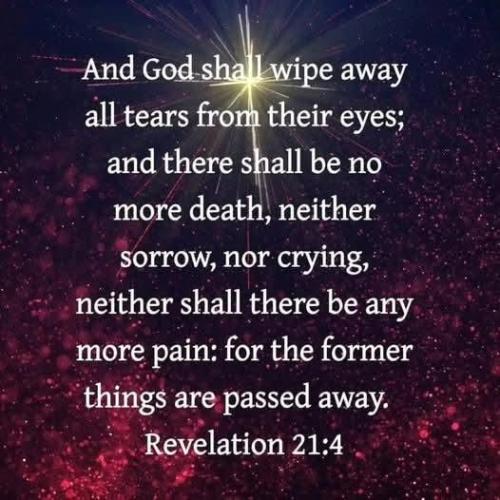 d03f3b76-ca97-4482-8756-7174a5fe2e07