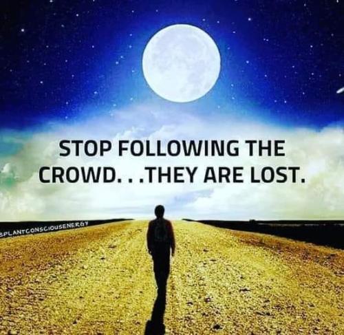 473683503_568710656034848_779040943456281546_n