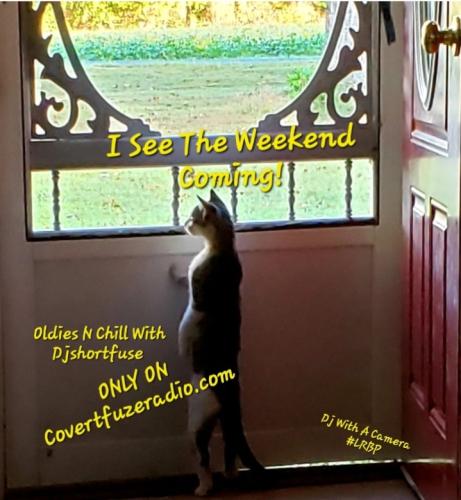 Screenshot_20250710_212939_Gallery