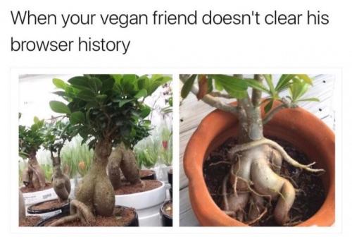 vegan porn
