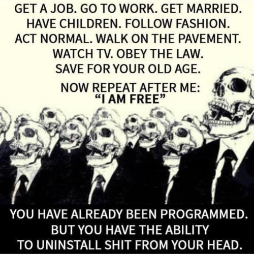 IMG_20250731_154911_759