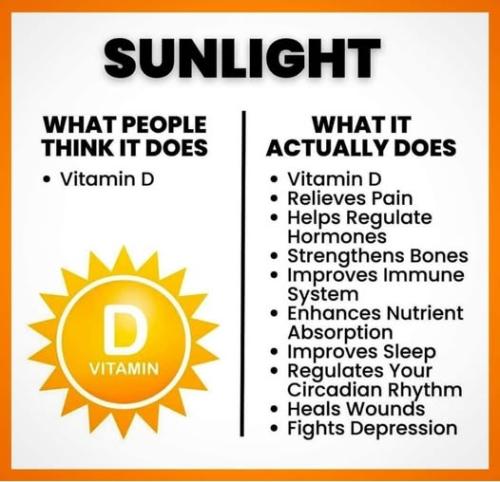 ,   418468121_2428009 (1)