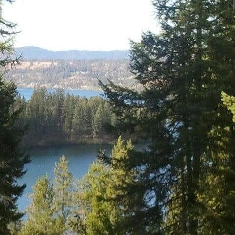 d9023bab-c999-4d30-88bb-01f56211b076