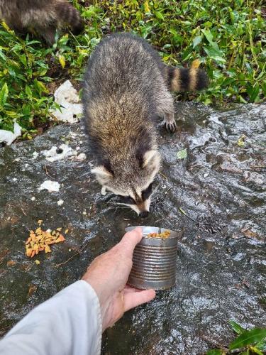 47d28205-e1a9-408c-9722-5e3699d94a8e