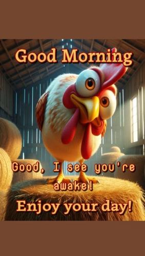 517647209_1049938020560379_4281508078788947907_n