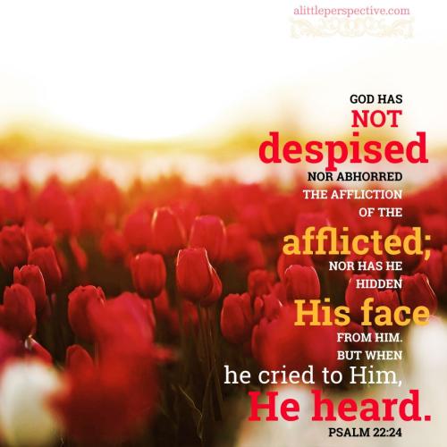 psa-22-24-pixabay-9x