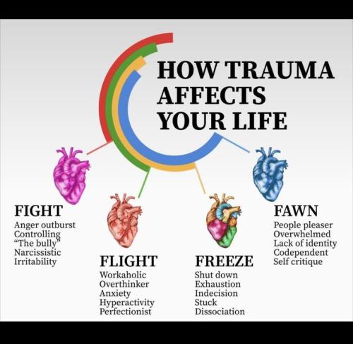 60c12c8a613c73a155f47d50fac3c36b