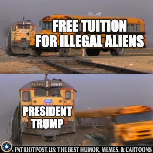 01JZX6T7YRX60SGAYTTKAG3G5G