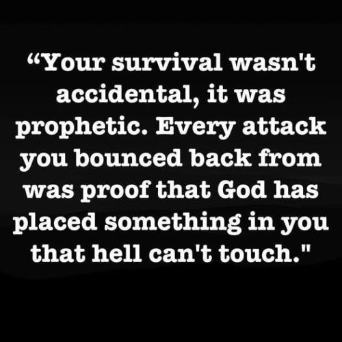 518407232_1313125193485727_839606406955255793_n