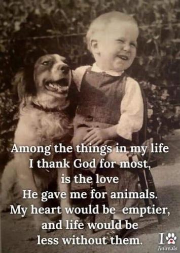 fd7fb330dfc0752d0ca2db14b16925d0