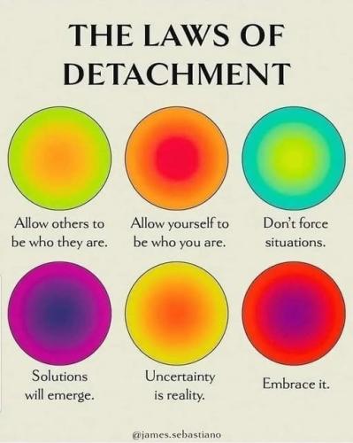 499864649_1247335636750813_4260269351084245317_n